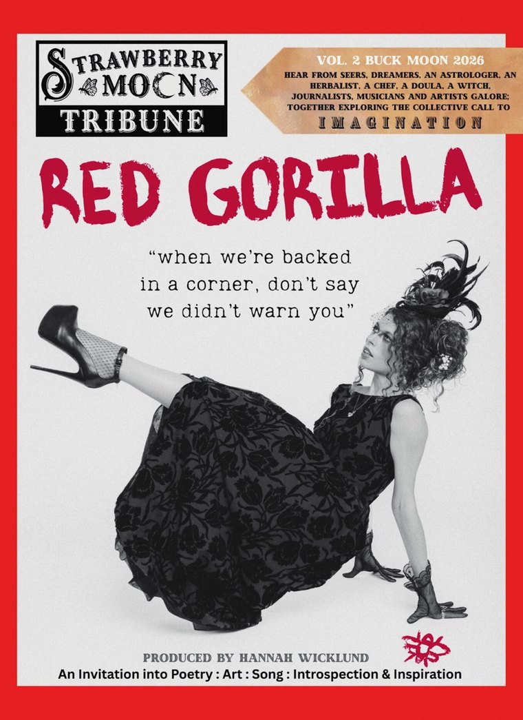 The Strawberry Moon Tribune Volume 2, Red Gorilla